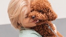 Frau kuschelt mit Pudel | Bild: picture alliance / Zoonar | OKSANA SHUFRYCH